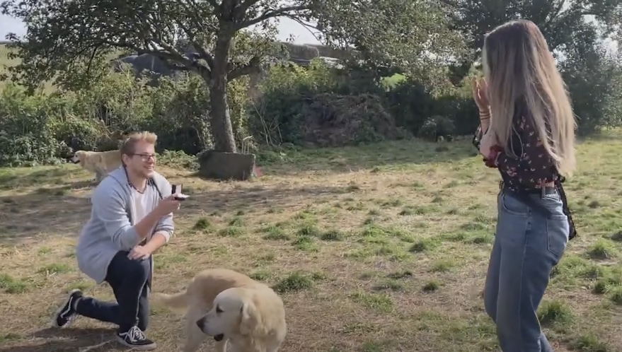 Pet-Assisted Proposal